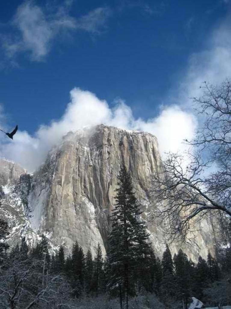 half dome