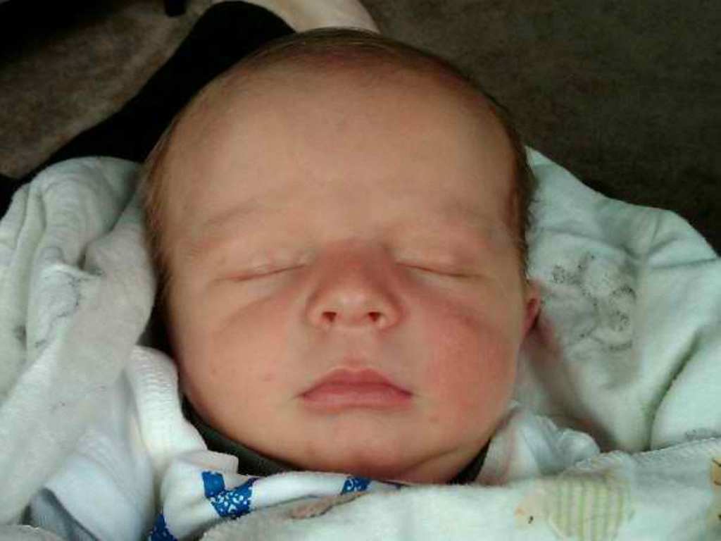 wyatt